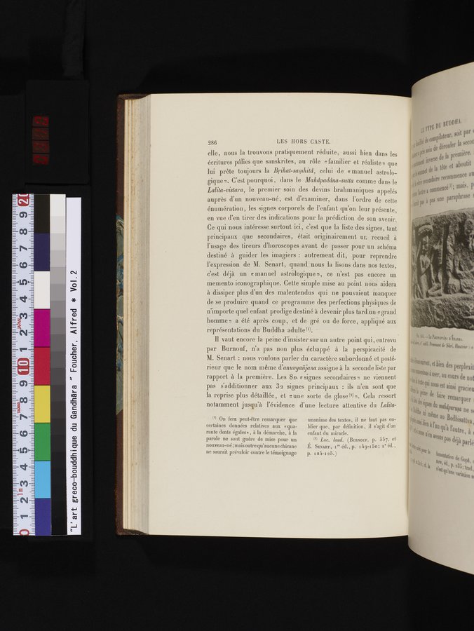L'art Greco-Bouddhique du Gandhâra : vol.2 / 310 ページ（カラー画像）