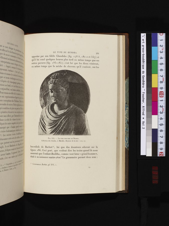 L'art Greco-Bouddhique du Gandhâra : vol.2 / 315 ページ（カラー画像）