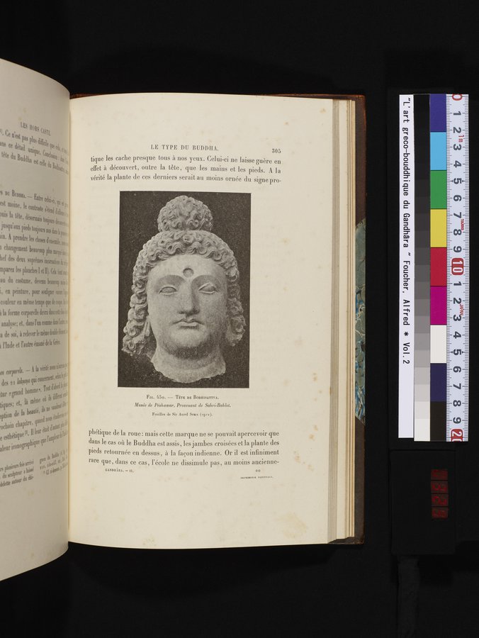 L'art Greco-Bouddhique du Gandhâra : vol.2 / 329 ページ（カラー画像）