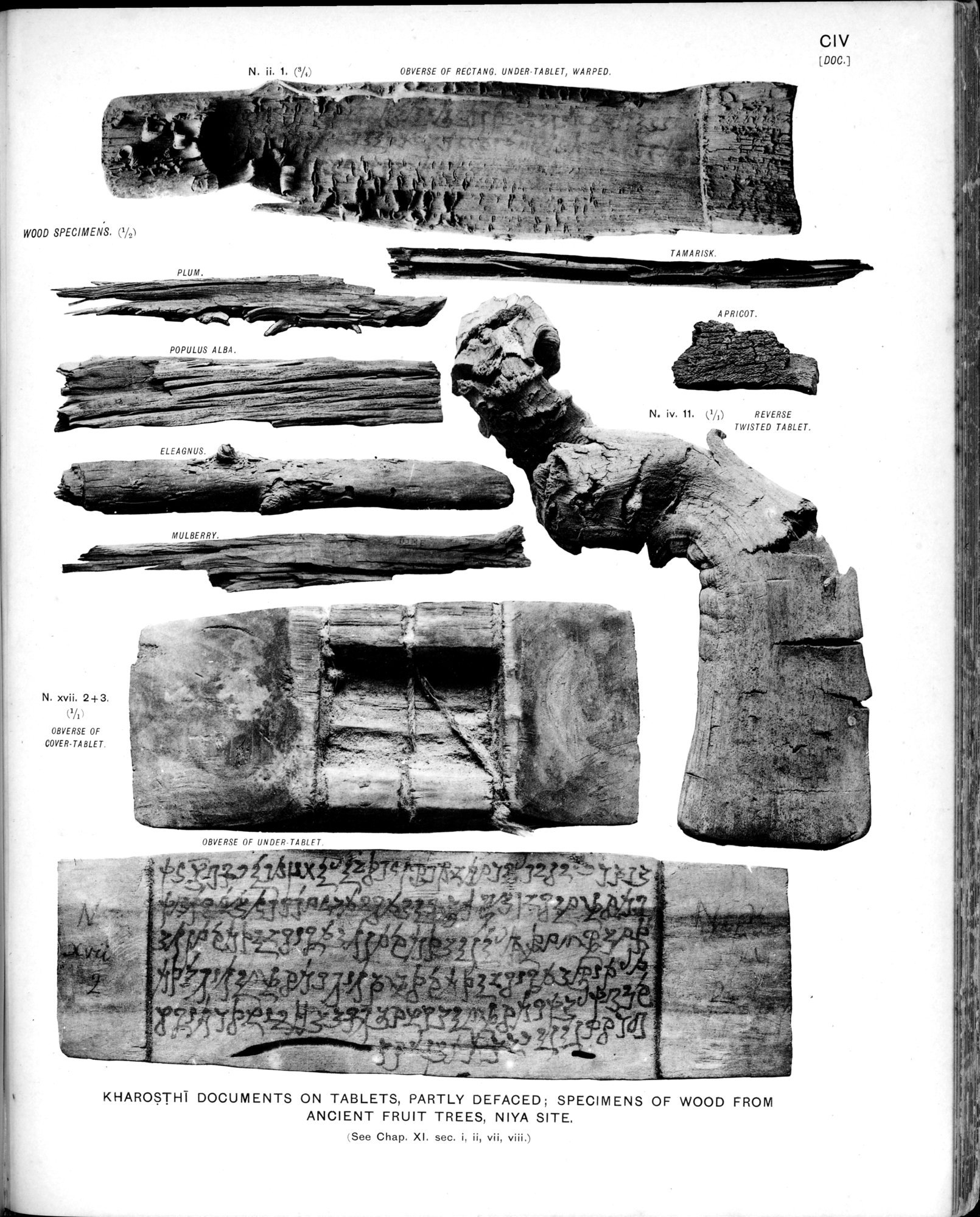 Ancient Khotan : vol.2 / Page 219 (Grayscale High Resolution Image)